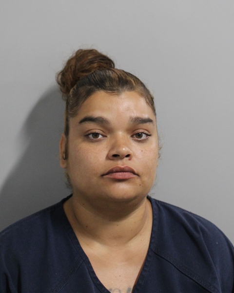 Damaris Soache-diaz booking photo