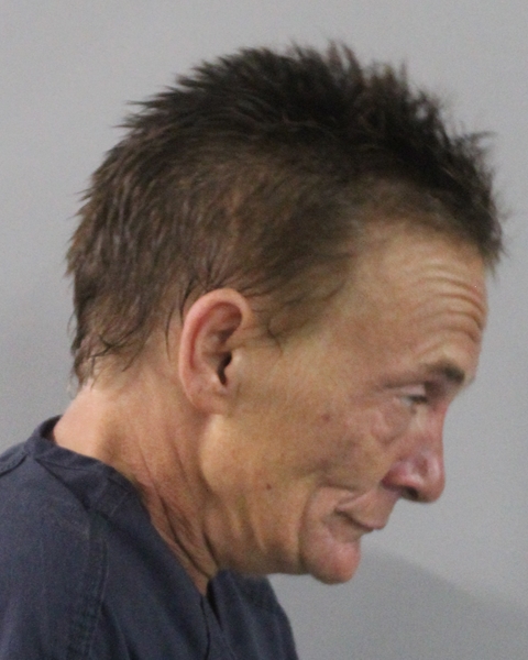 Booking photo of Erica Hornsby