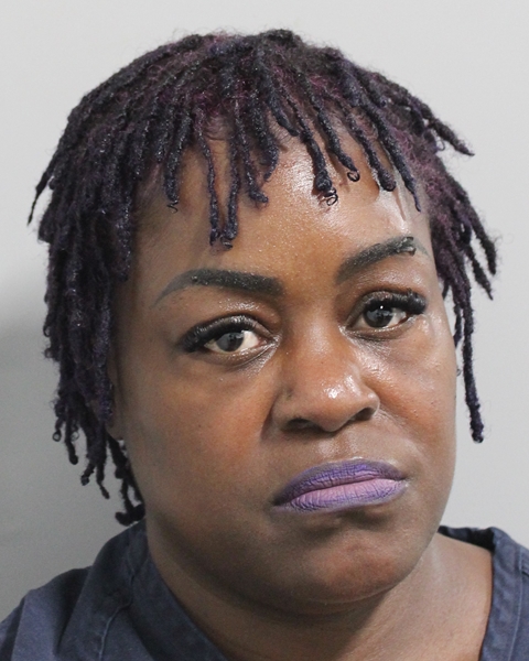 Booking photo of Brittany Scott