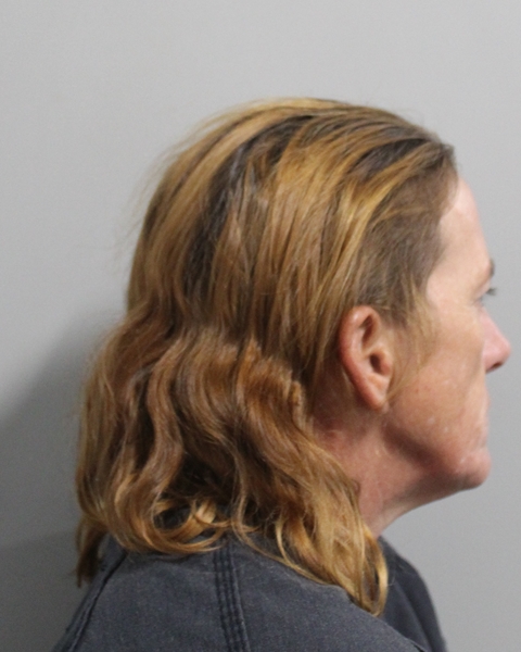 Elisha Dempsey booking photo