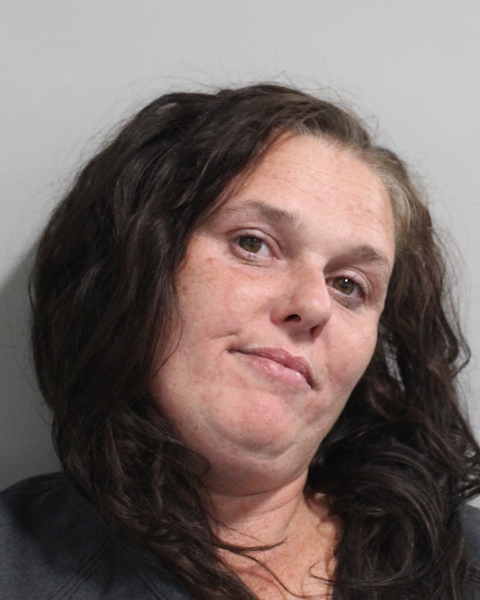 Booking photo of Brandi Fitez