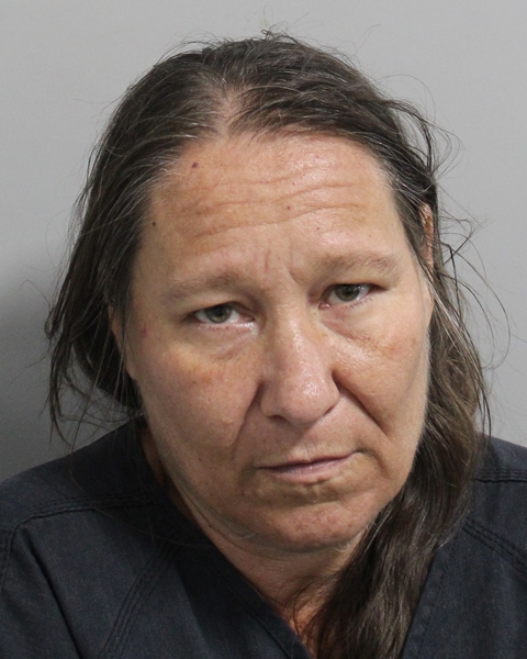 Booking photo of Michelle Carlisle