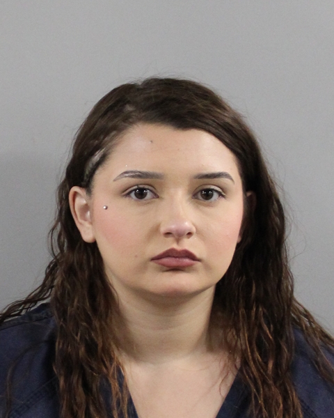 Anneliese Garcia booking photo