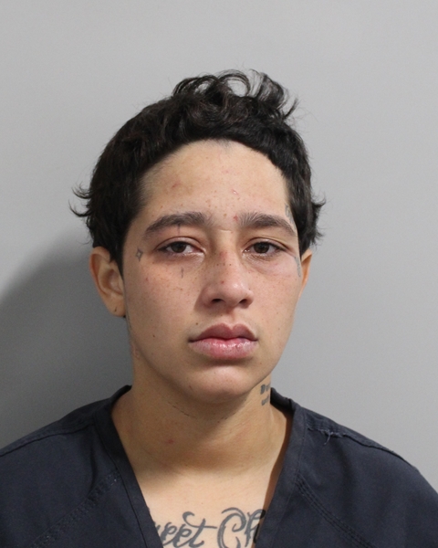 Booking photo of Jirelys Perez Sanchez