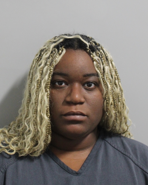 Booking photo of Raina Ervin