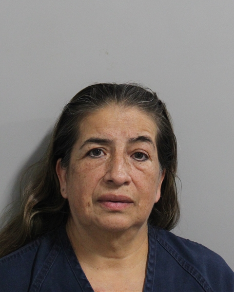 Sandra Sandoval Rodriguez booking photo