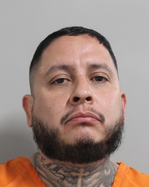 Booking photo of David Magallon