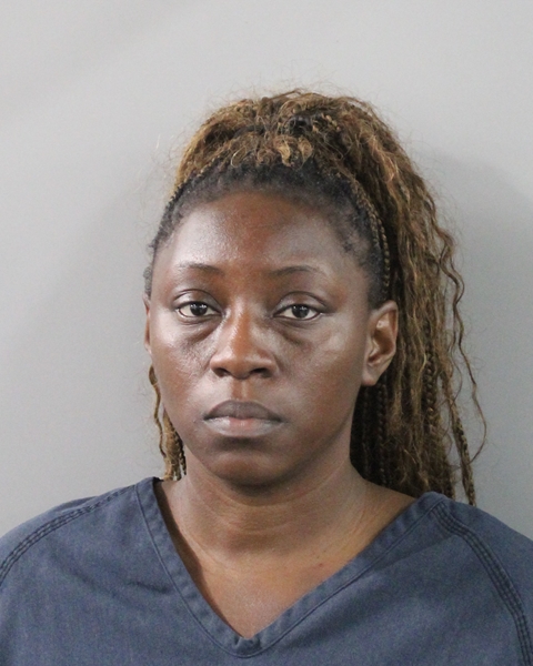 Dionna Smith booking photo