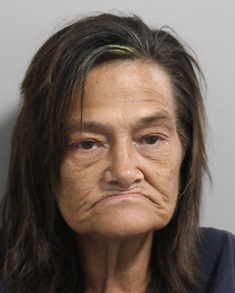 Booking photo of Melody Brillhart