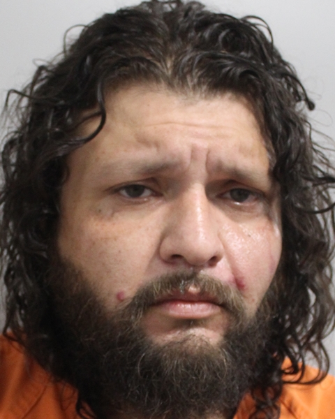 Booking photo of Emanuel Fernandez