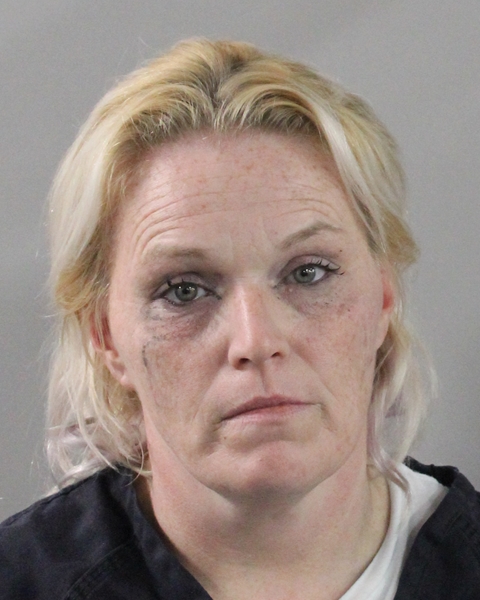 Booking photo of Crystal Dimmitri