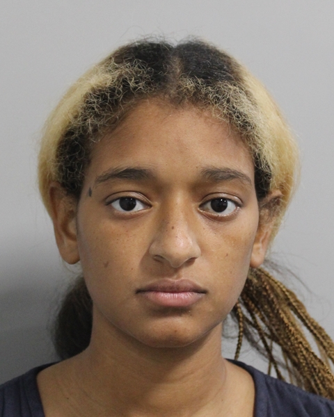 Kyaneliss Chaparro booking photo