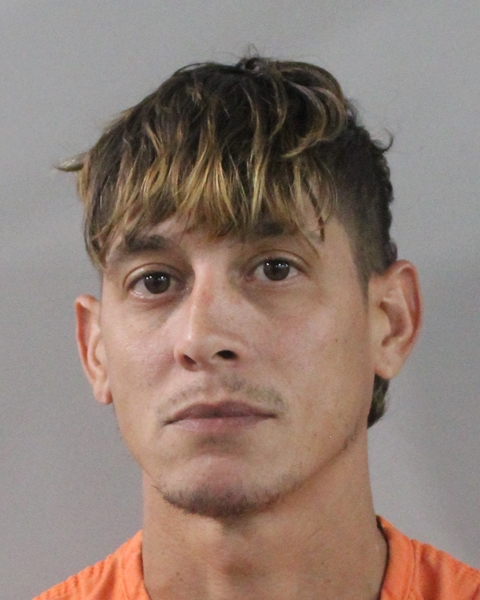 Booking photo of Neil Larregui Paolillo