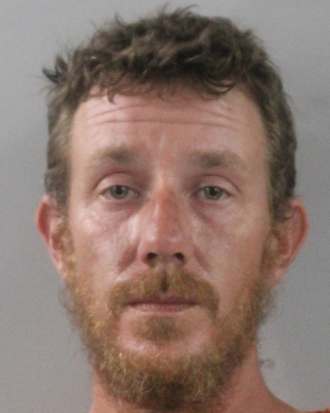Booking photo of Samual Nolan