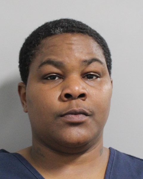 Booking photo of Jessica Larry