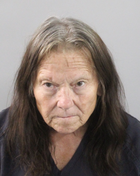 Booking photo of Lori Pask