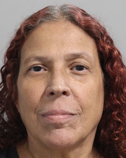 Booking photo of Dhelma Martin
