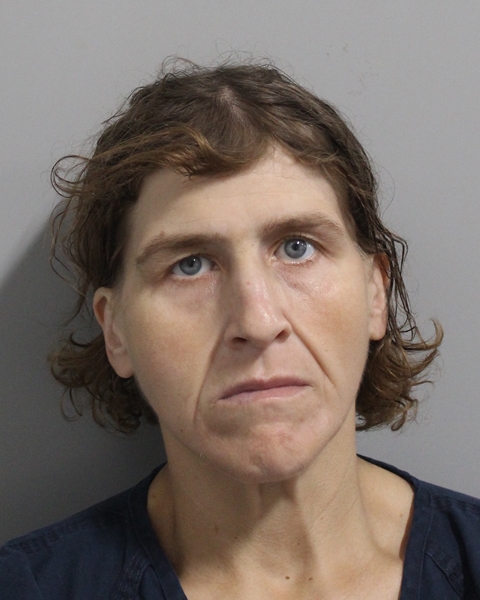 Booking photo of Emma Boyd