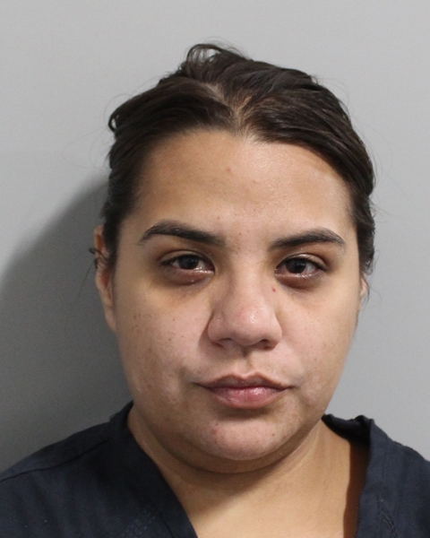 Booking photo of Nathalia Villavicencio