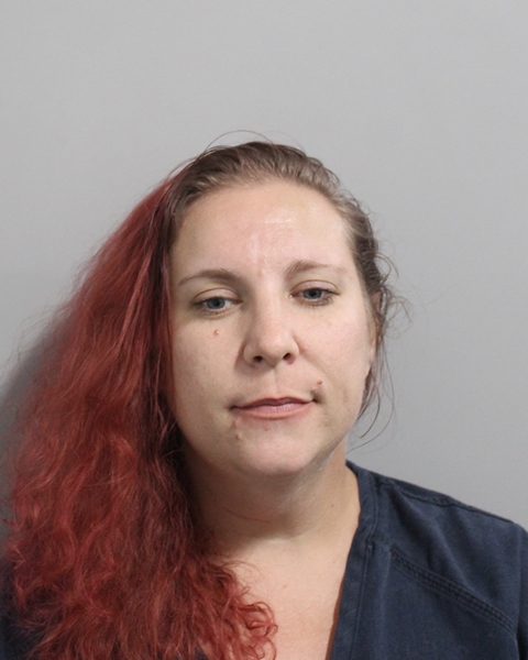 Booking photo of Rachael Fiducia