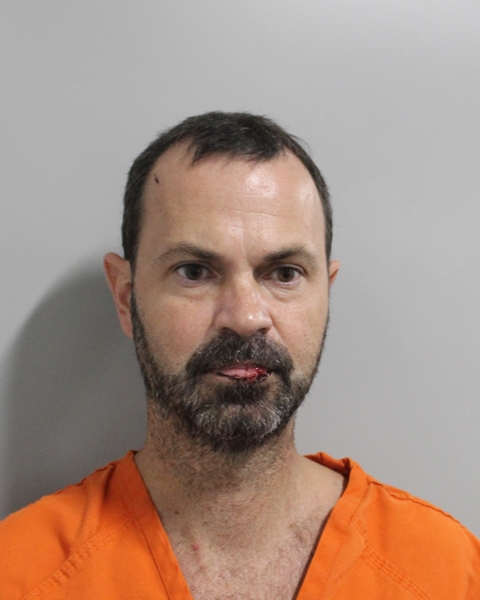 Booking photo of George Lepi