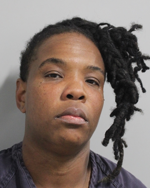Booking photo of Vonsha Robinson