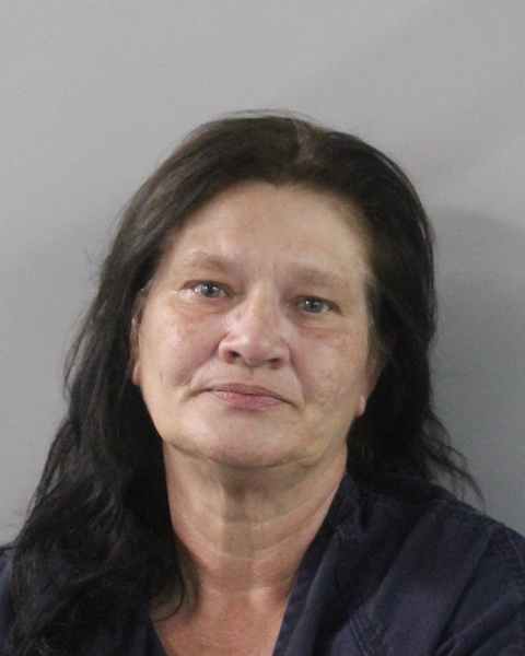 Booking photo of Patricia Conklin