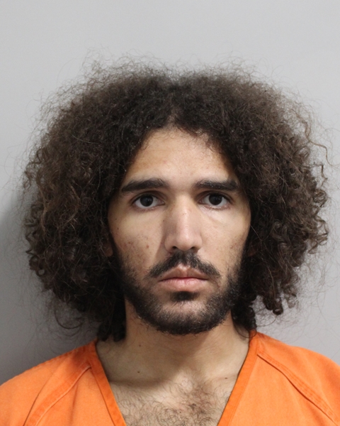 Booking photo of Nicholas Gomes