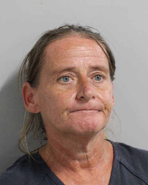 Booking photo of Melissa Johnson
