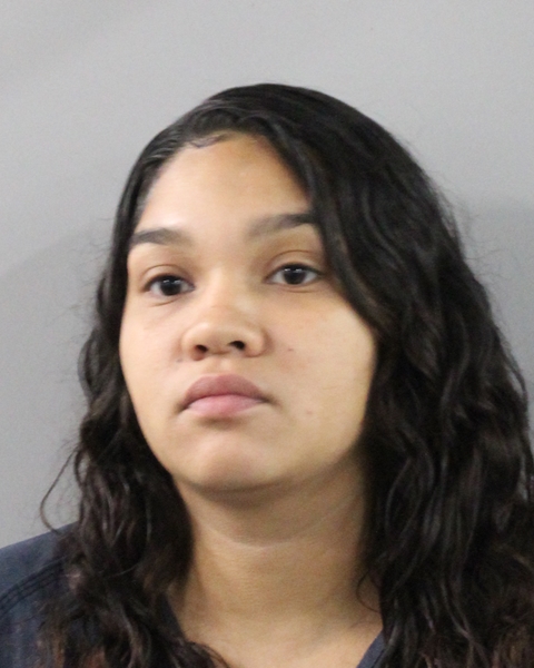 Booking photo of Ednita Alamo