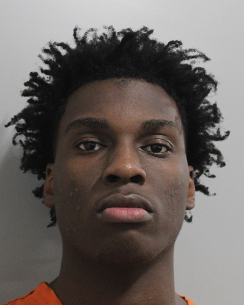 Andrew Hercule Ii booking photo
