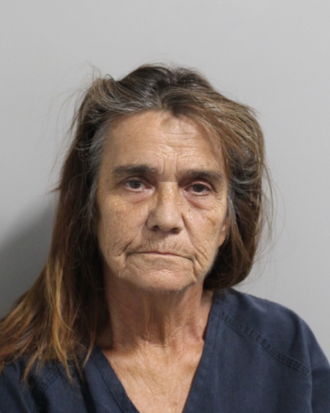 Booking photo of Karen Bolin