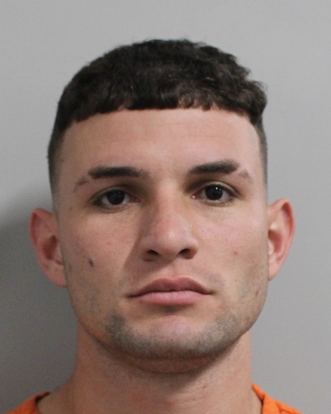 Booking photo of Geandy Romero Ortega