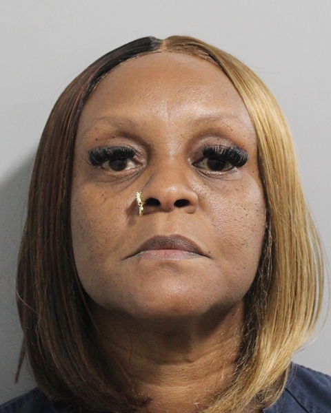 Booking photo of Teneka Mckinzie