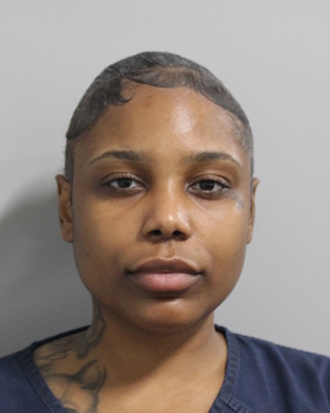 Booking photo of Lindsey Stanley