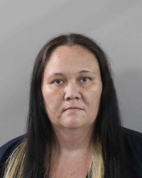 Booking photo of Danica Morris