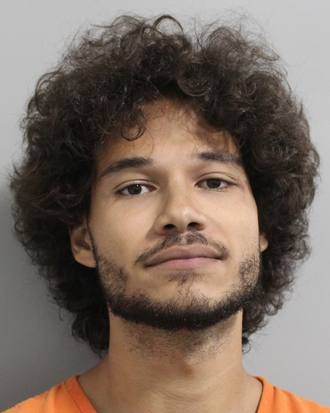 Booking photo of Joshua Liranzo Torres