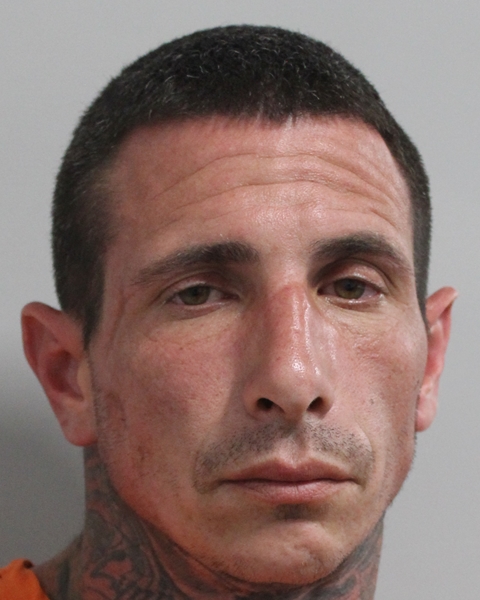 Booking photo of Nicholas Dalessandro