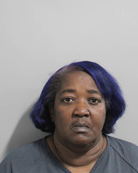 Johanna Howard booking photo