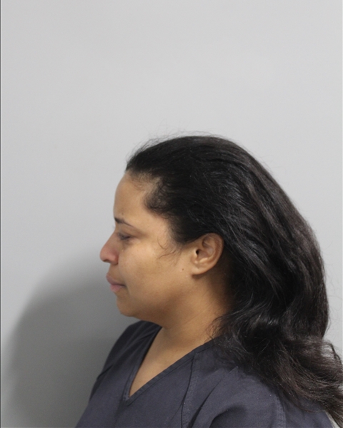 Booking photo of Luisa Dominguez