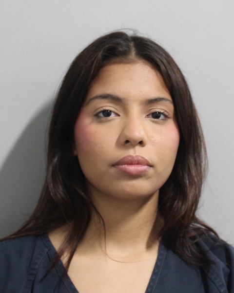 Booking photo of Yasmely Medina Moreno
