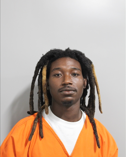 Booking photo of Jalyn Gamble