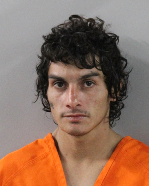 Booking photo of Brendyan Phillips