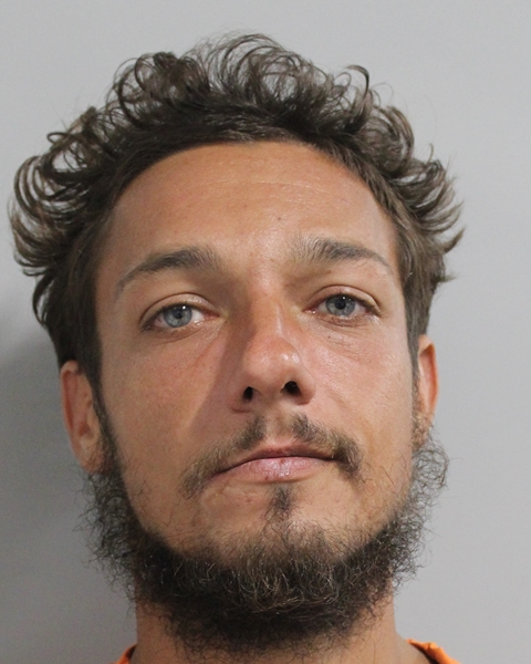 Booking photo of Robert Shane