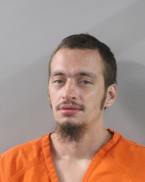 Booking photo of Michael Young