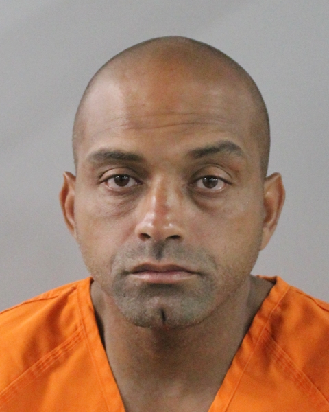 David Gullo booking photo