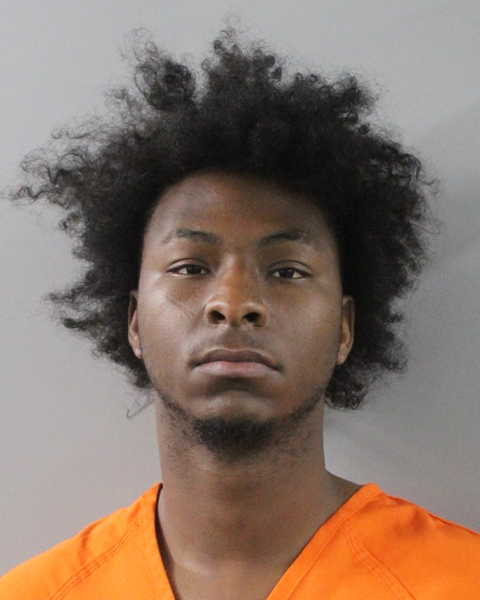 Booking photo of Nydree Turnage