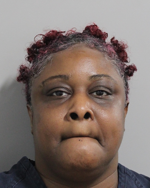 Booking photo of Dawn Mathis