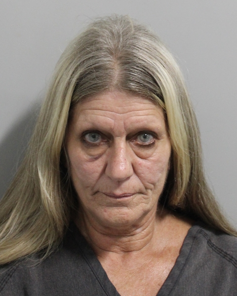 Ronda Lane booking photo