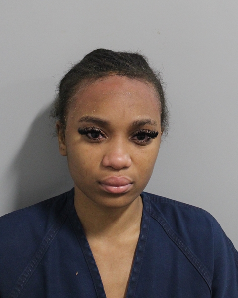 Booking photo of Alisha Azor